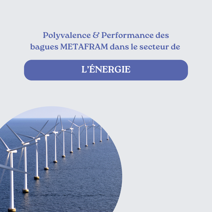 Performance & Polyvalence : Secteur de l'Energie