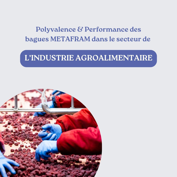 Performance & Polyvalence : Secteur de l'Industrie Agroalimentaire